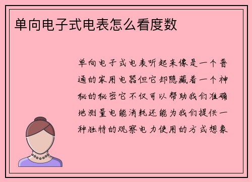 单向电子式电表怎么看度数